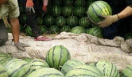 山东最新吃瓜爆料视频,揭秘神秘事件背后的真相